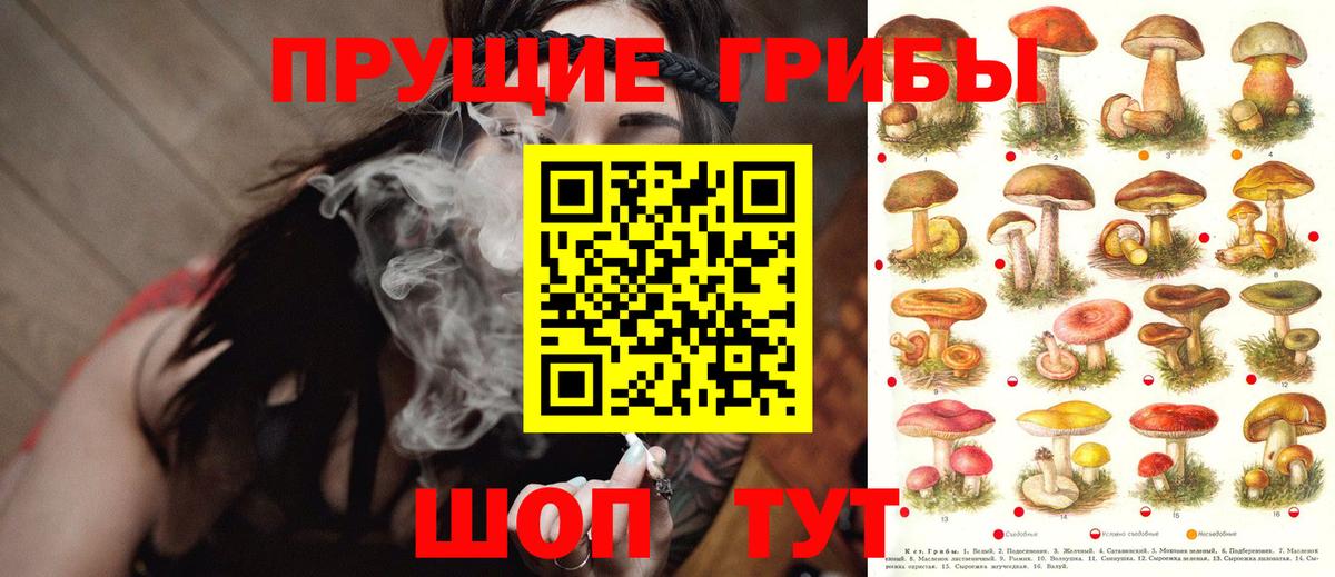 Псилоцибиновые грибы мицелий Обь