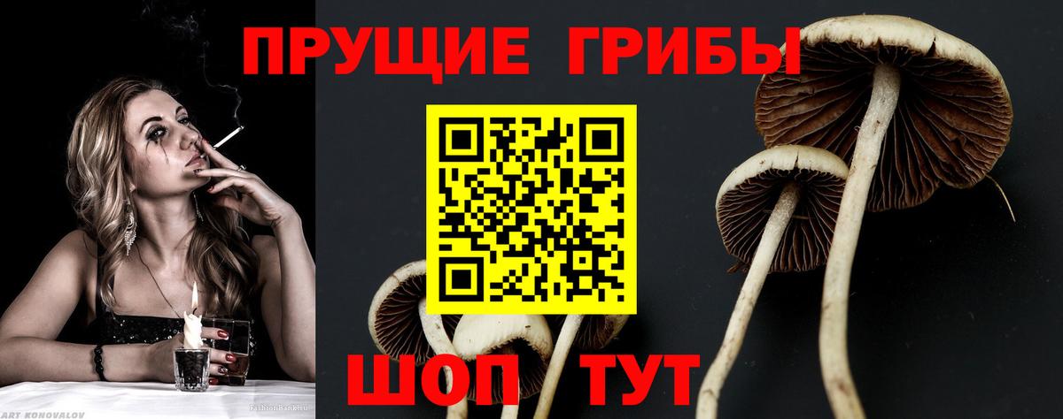 Галлюциногенные грибы Cubensis  Галлюциногенные грибы GOLDEN TEACHER  Обь  Вход с VPN 